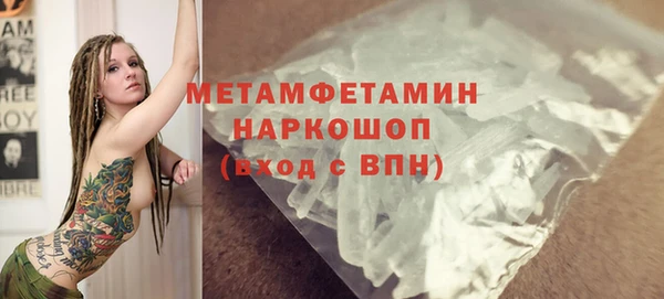 прущие грибы Медногорск