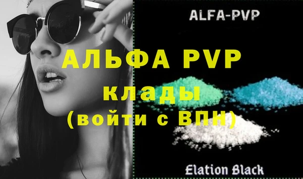 прущие грибы Медногорск