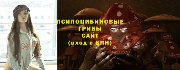 прущие грибы Медногорск