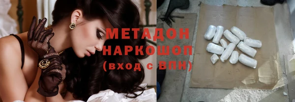 прущие грибы Медногорск