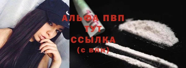 прущие грибы Медногорск