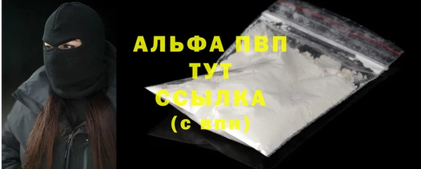 прущие грибы Медногорск