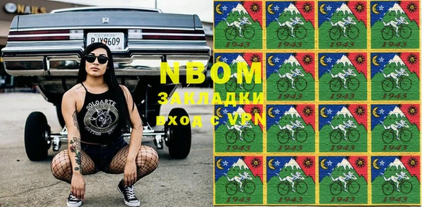 прущие грибы Медногорск