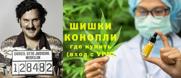 прущие грибы Медногорск