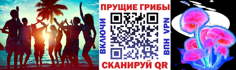 Купить закладки  Кологрив  Галлюциногенные грибы MAGIC MUSHROOMS 